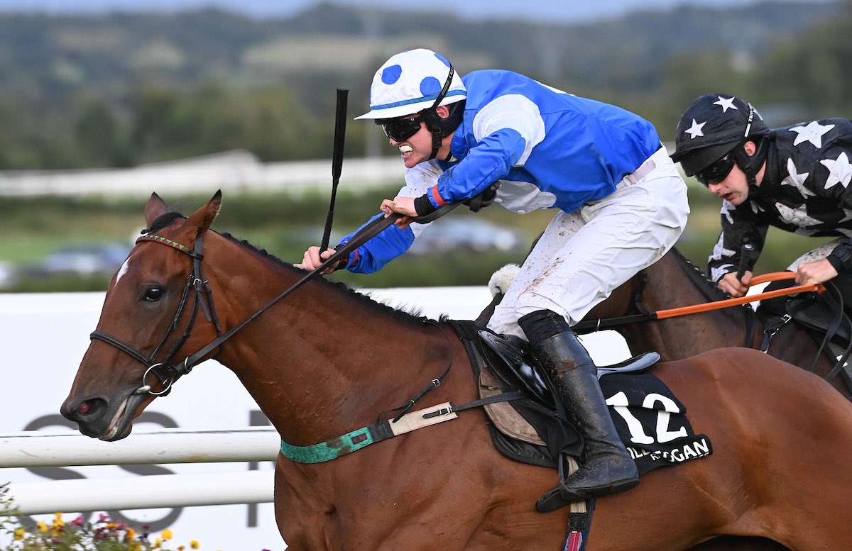 That Friday Feeling is a winning one!!! Huge congratulations to the Street Wise Syndicates win with Miss Dishy @kilbegganraces this evening in the John Thomas McNamara Series IHN Flat Race.  

A super strong ride from Eoghan Finegan and a gamey performance from Miss Dishy = an