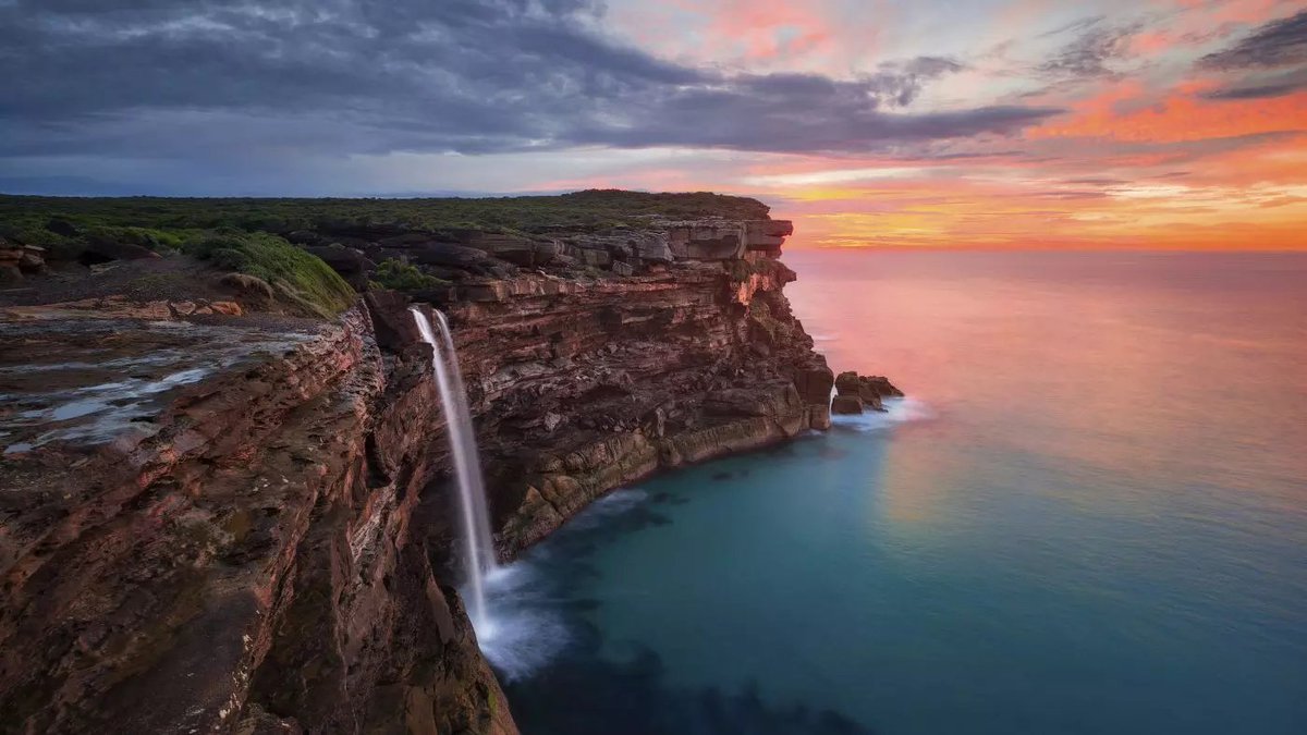 UNSW Economics tweet media