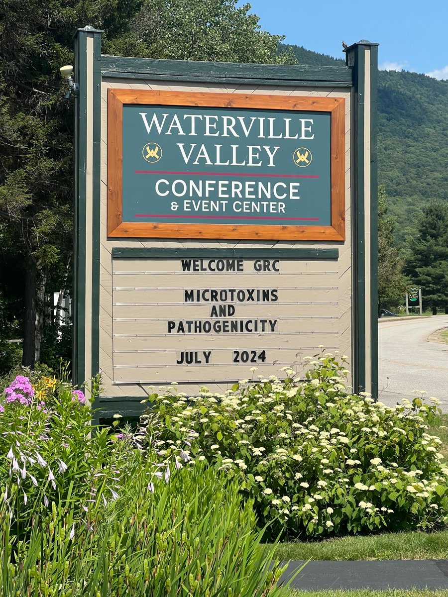 Lee Lab (@leelabkstate) on Twitter photo Lee Lab graduate student <a href="/MicrobeRich/">Tanner Richie</a> had a fantastic time at her first GRS and GRC conference where she presented her latest research on limiting microbial driven inflammation! Lee Lab graduate student <a href="/MicrobeRich/">Tanner Richie</a> had a fantastic time at her first GRS and GRC conference where she presented her latest research on limiting microbial driven inflammation!