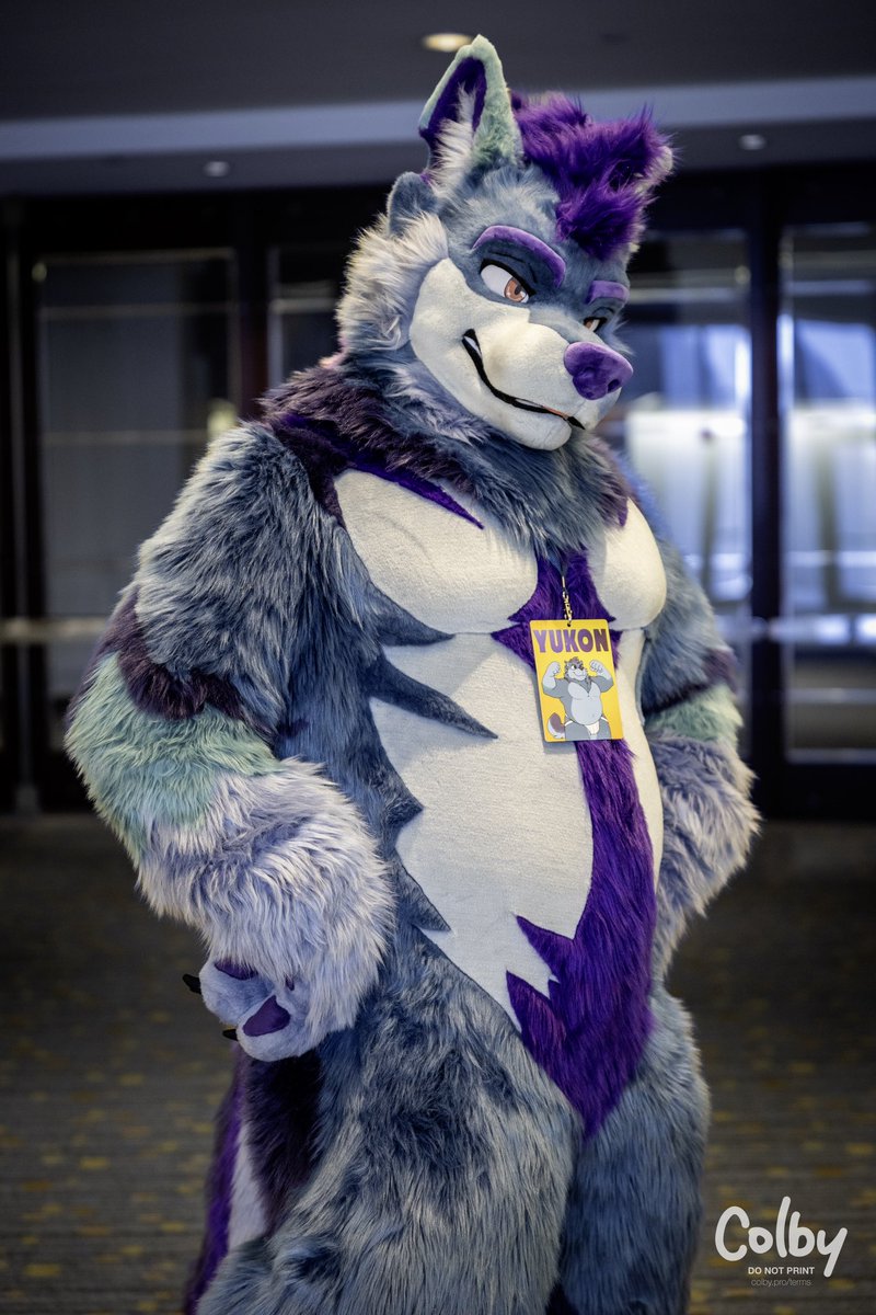 Whatcha lookin’ at, kid? #FursuitFriday 
📸: <a href="/colby_husky/">Colby! - colby.dog</a>