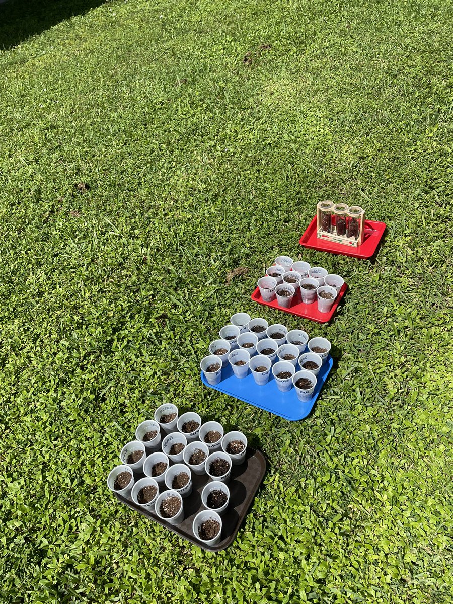 Mrs. Obidiegwu tweet media