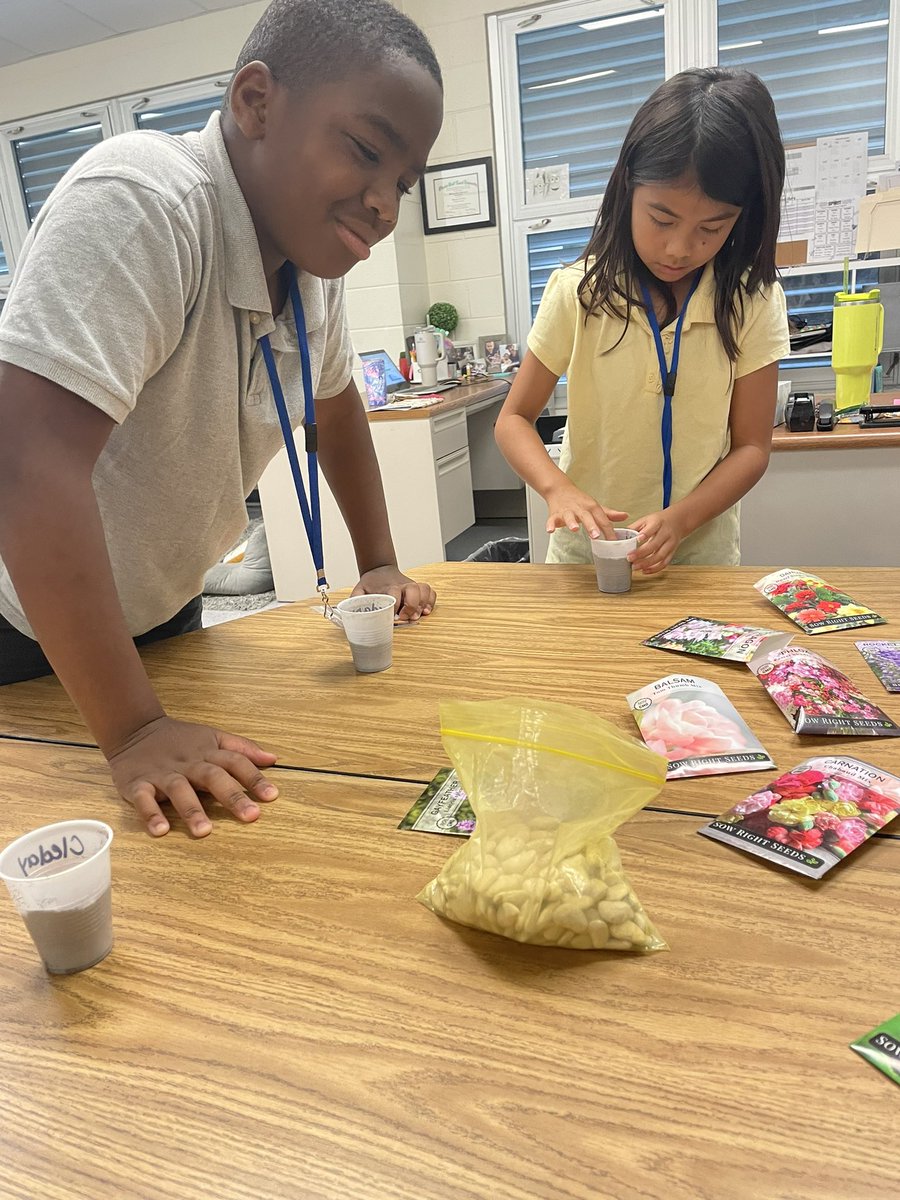 Mrs. Obidiegwu tweet media