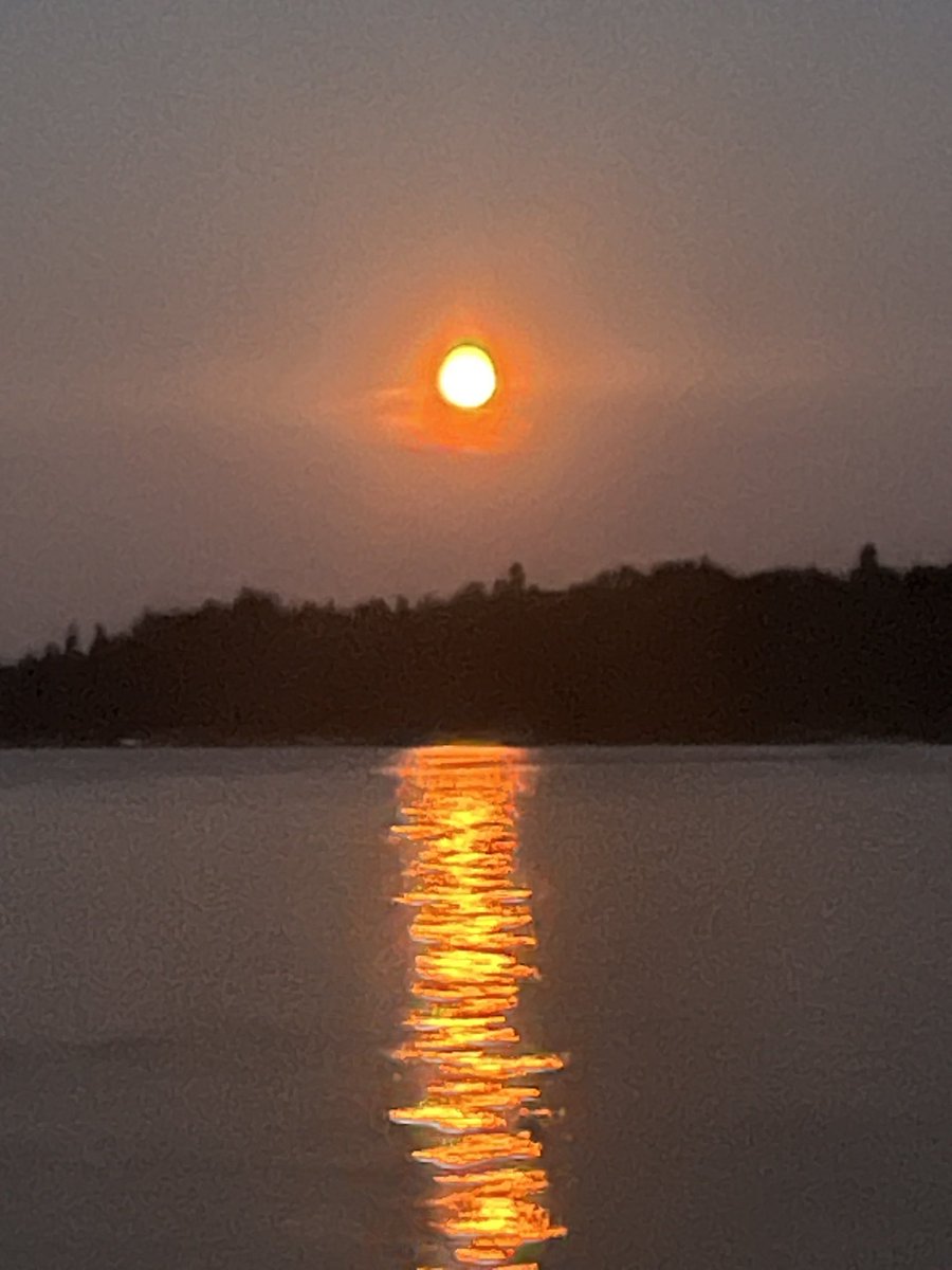 DerekMG1111's tweet photo. Last night in Kenora !#pike #smallmouthbass #sunsets #fishing #discoverontario https://t.co/s99dkPTYfs
