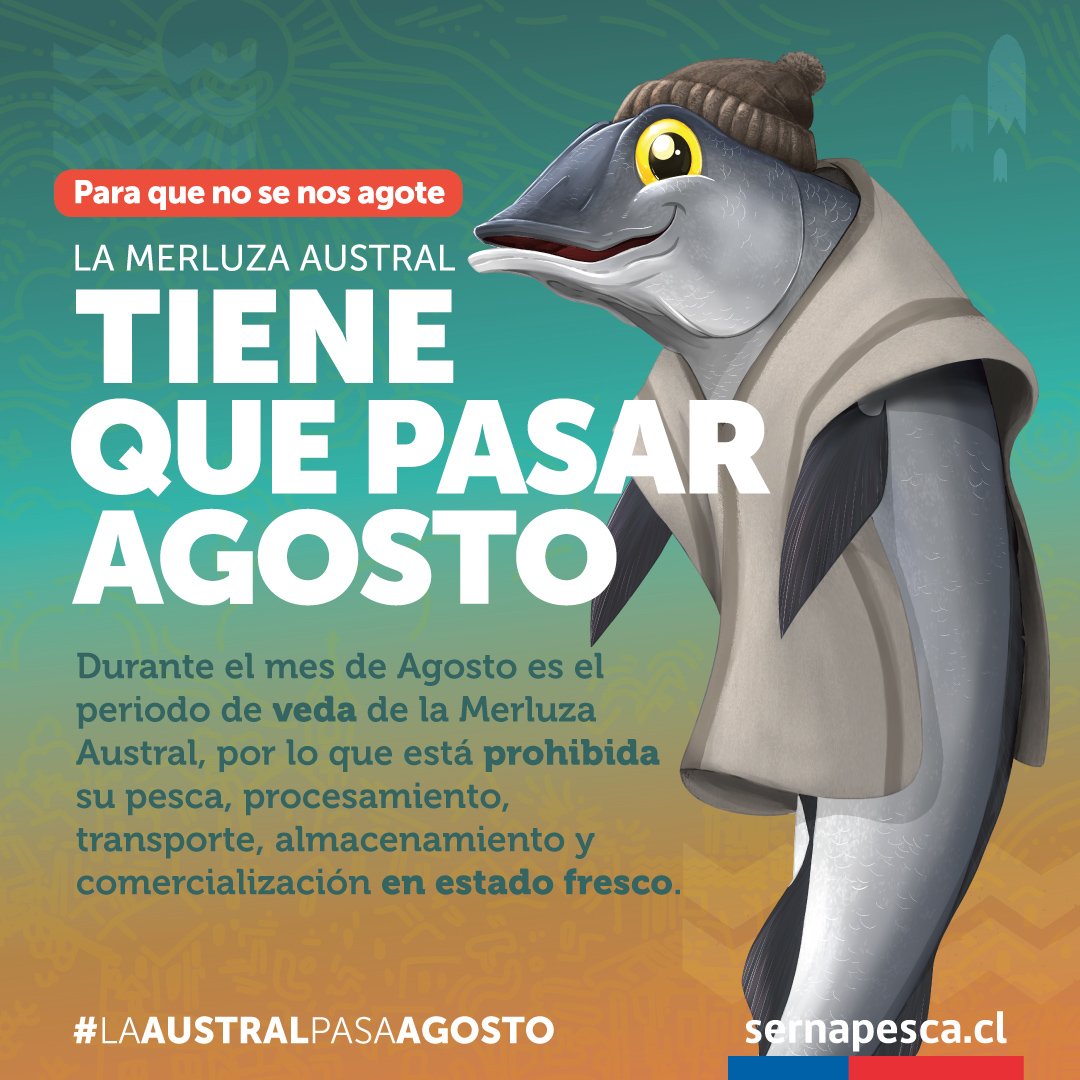 #LaAustralPasaAgosto. Recuerda que la merluza austral es un recurso en estado de sobrexplotación y por lo tanto, su extracción, comercialización, transporte y otros, durante la veda se considera DELITO. No te expongas a multas y sanciones y juntos protejamos este preciado recurso
