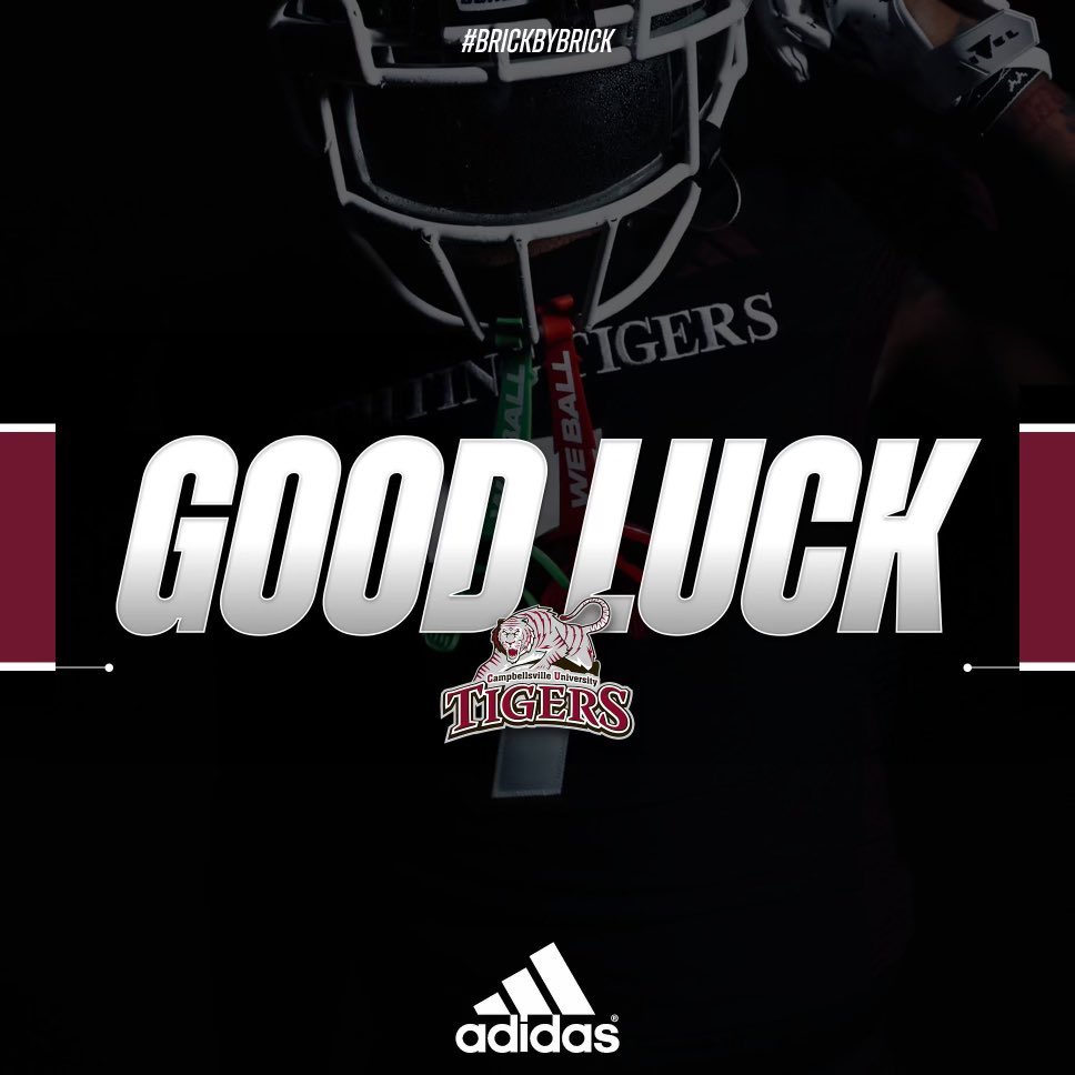 Oliver Link tweet media