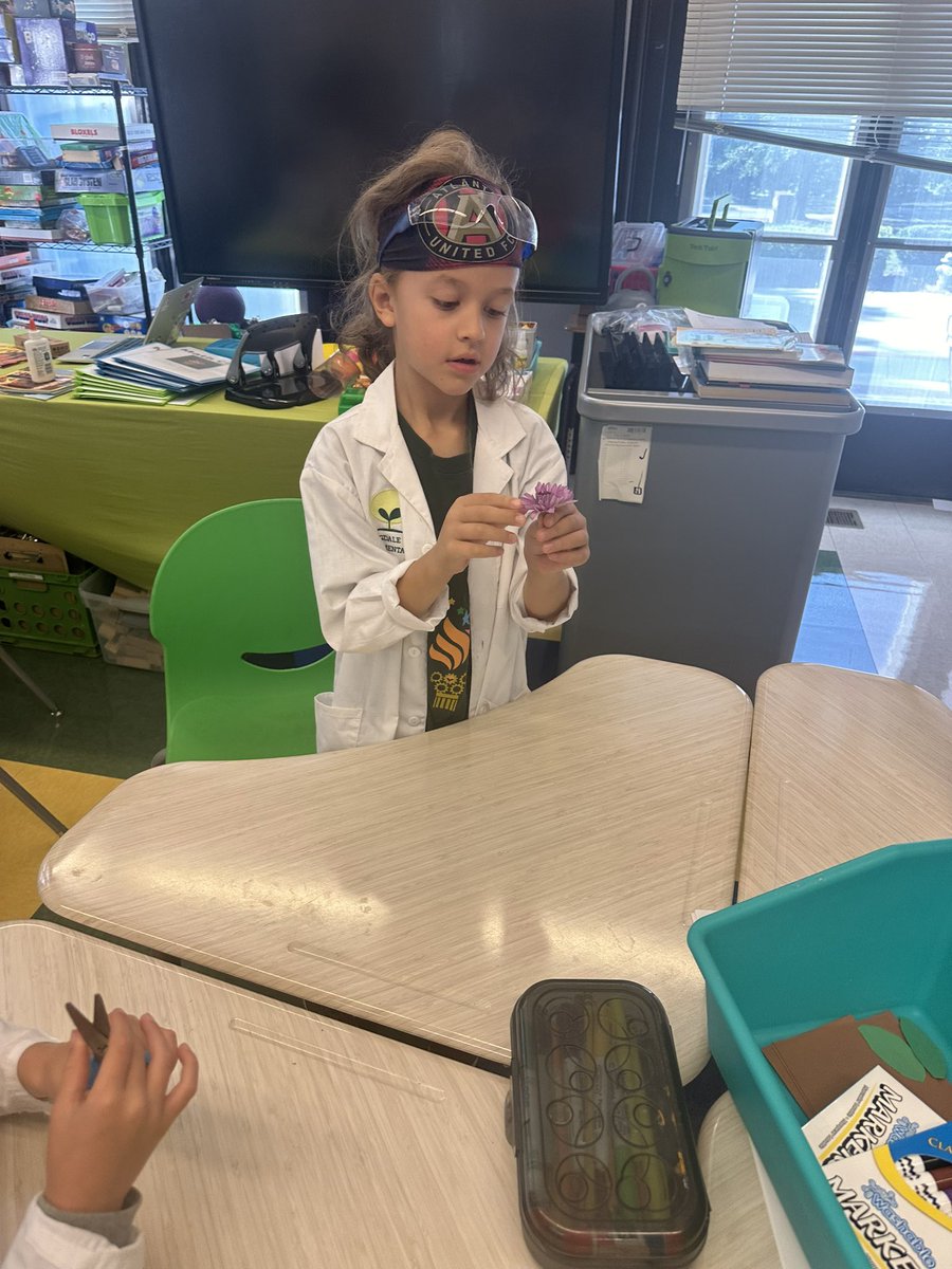 STEMbieda's tweet photo. Dissecting flowers and making models of plant parts today with our first-grade dragons! 🌸🌱 Hands-on learning at its best! #STEAM #FutureBotanists @drjtoney @sarapruett5 @APS_SPARK https://t.co/b4wFDPxiZ6