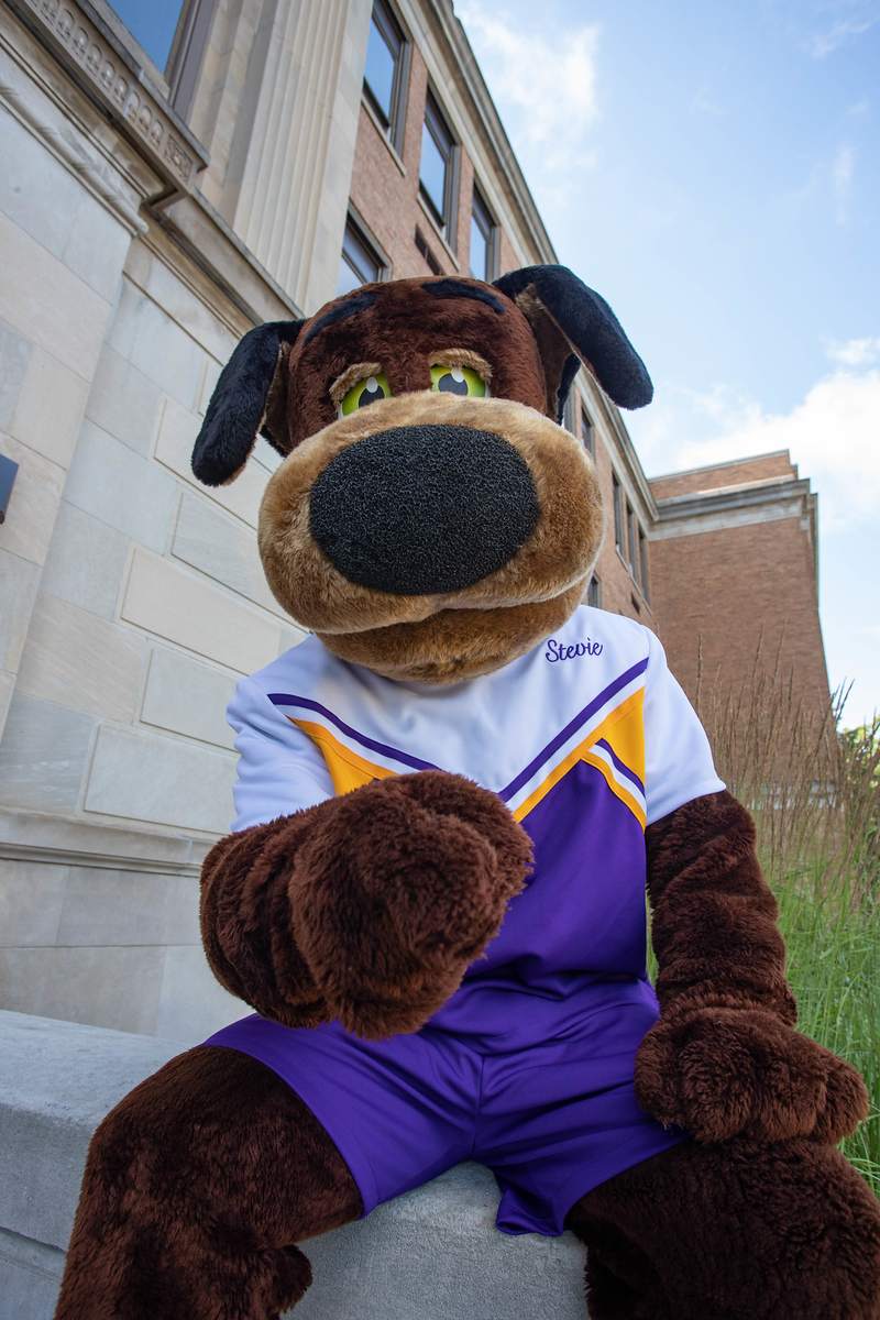 Its National Dog Day 🎊
A day to celebrate all of our Pointers out there!
Enjoy this picture of Stevie 😎