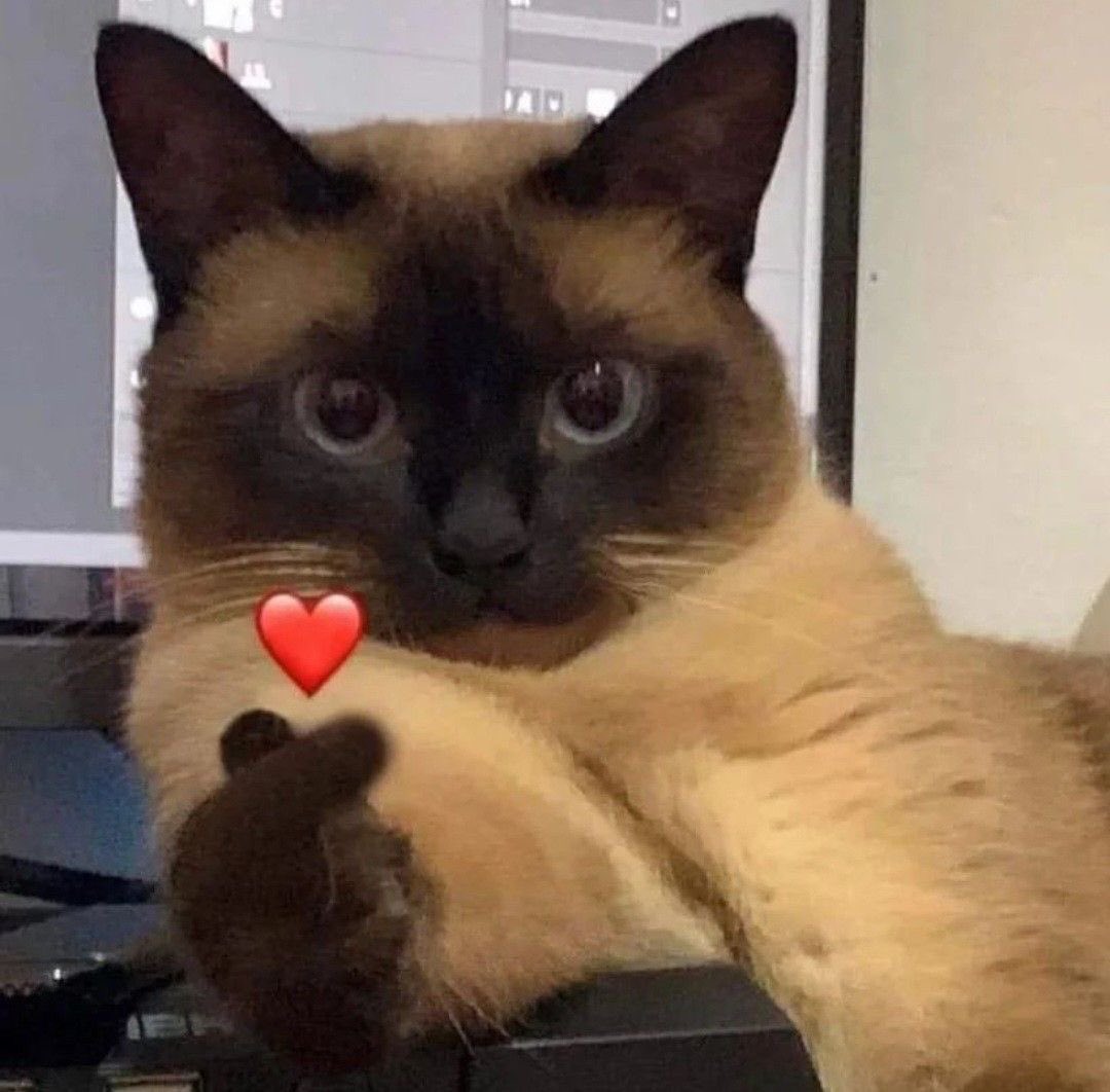 lybbsol's tweet photo. @DaemonPique $LYBB. community is forming huge
https://t.co/NYE9Q4AMGh https://t.co/MJQu9Np7AN