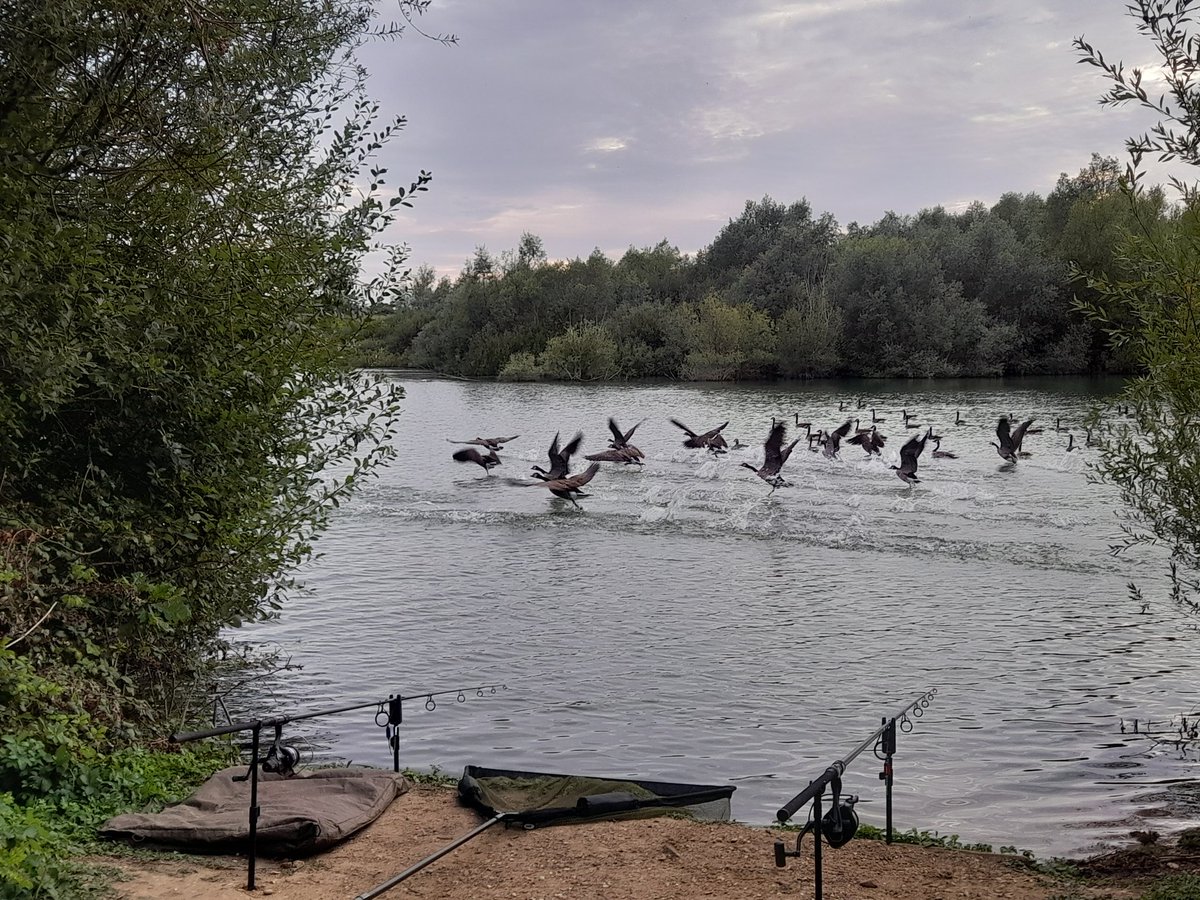 PaulCrysell's tweet photo. It has been a blustery  day at Tufnell Mere but managed to land this beast my PB for this lake. https://t.co/XsWIr5skTX
