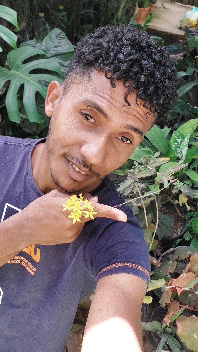 alê (@sandrogato3110) on Twitter photo 