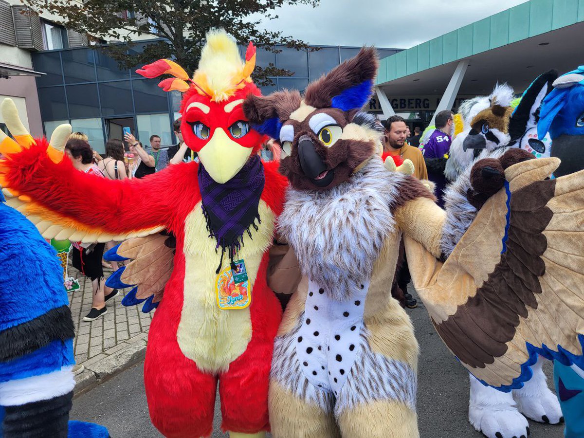Need a Wing? #FursuitFriday 

If someone has his profil link, feel free to add it in the comments.