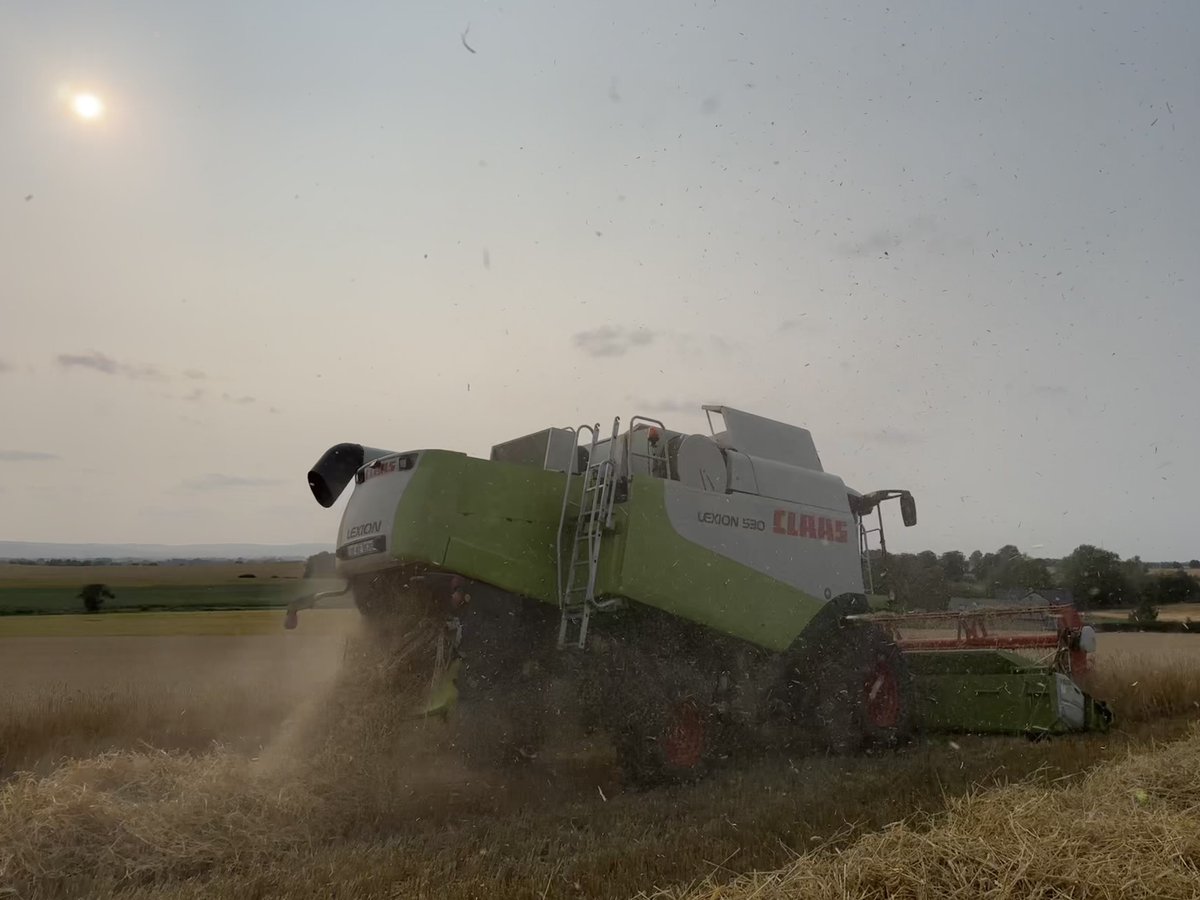 Luke Thornton tweet media