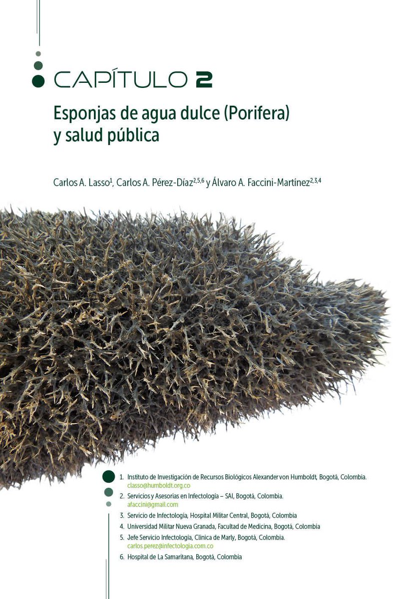 Carlos Lasso (@classoalcala) on Twitter photo Guía biomedica: animales acuáticos y salud pública en norte Suramérica y El Caribe. Semanalmente iremos mostrando los capítulos hasta octubre. Empezamos. Capítulo 2. Esponjas agua dulce. <a href="/InfectoWeb/">InfectoWeb</a> <a href="/cperezd/">carlos e perez</a> <a href="/AAFaccini/">Álvaro A. Faccini-Martínez</a> <a href="/inst_humboldt/">Instituto Humboldt</a>. Gracias Grupo SOUL. Guía biomedica: animales acuáticos y salud pública en norte Suramérica y El Caribe. Semanalmente iremos mostrando los capítulos hasta octubre. Empezamos. Capítulo 2. Esponjas agua dulce. <a href="/InfectoWeb/">InfectoWeb</a> <a href="/cperezd/">carlos e perez</a> <a href="/AAFaccini/">Álvaro A. Faccini-Martínez</a> <a href="/inst_humboldt/">Instituto Humboldt</a>. Gracias Grupo SOUL.
