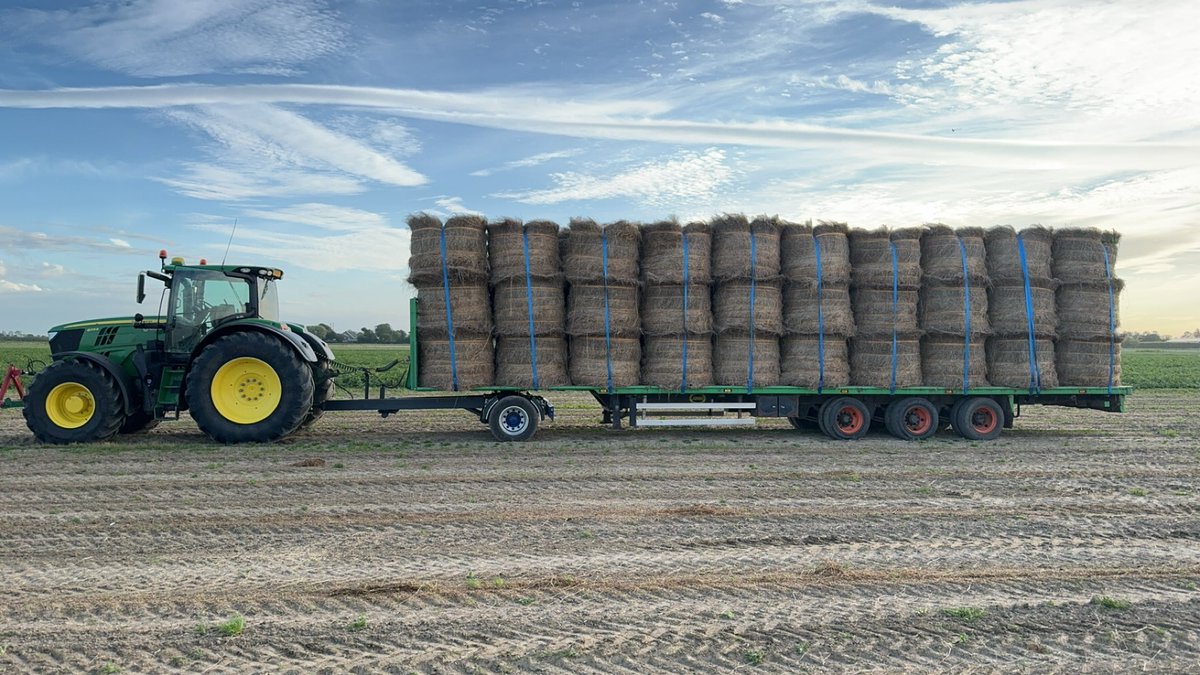 Timmers Agro Service tweet media