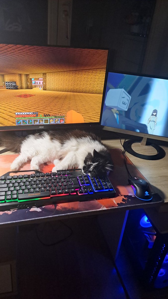 Gaming, watching anime and the most important thing: My fluffy cat ^w^

#GamingVibes #game #gamingmouse #Gaminghub #Minecraft #anime #Cat #fluffy #cute