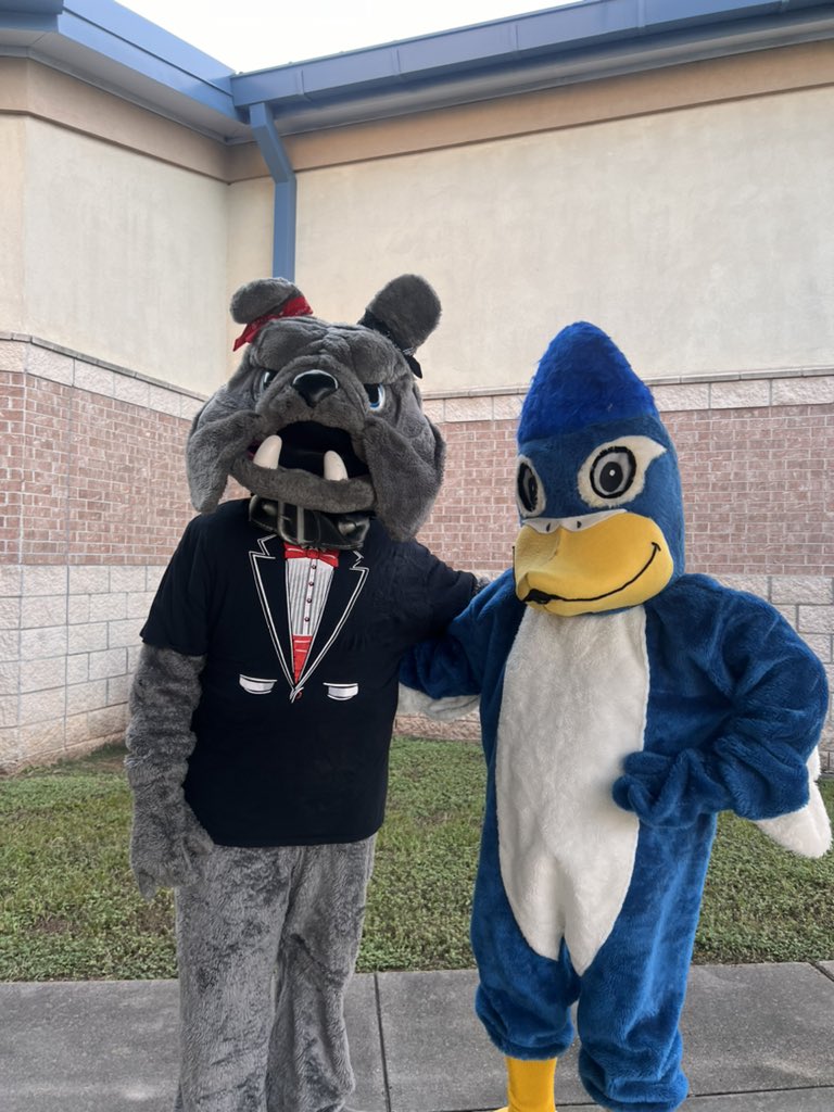 AHS Cheer tweet media