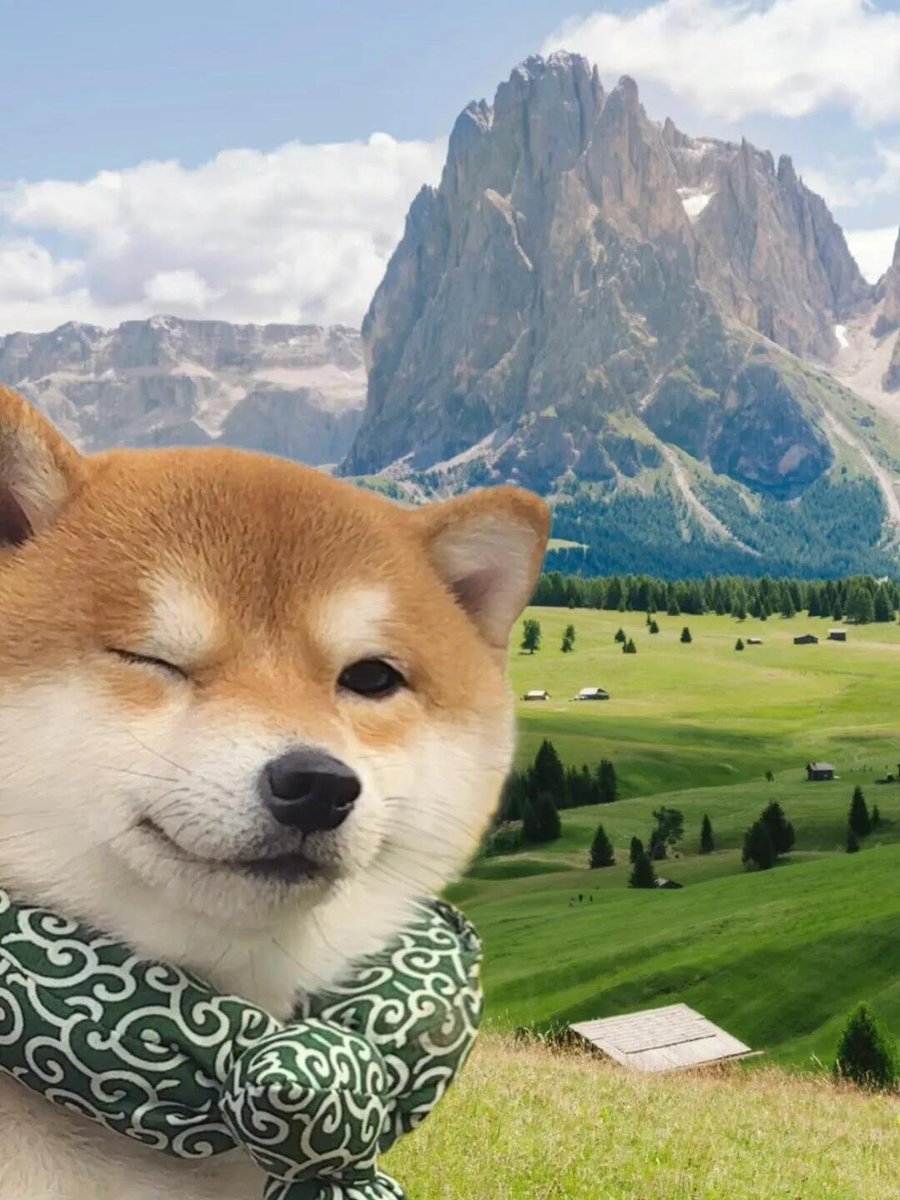 ˗ 𝐘𝐞𝐞𝐞𝐞 ✌ ʺ̤ Where you are destined to go, there is light at night