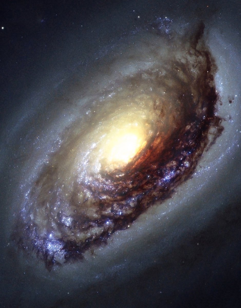 17 million light-years away from Earth 🌀 The Black Eye Galaxy...
