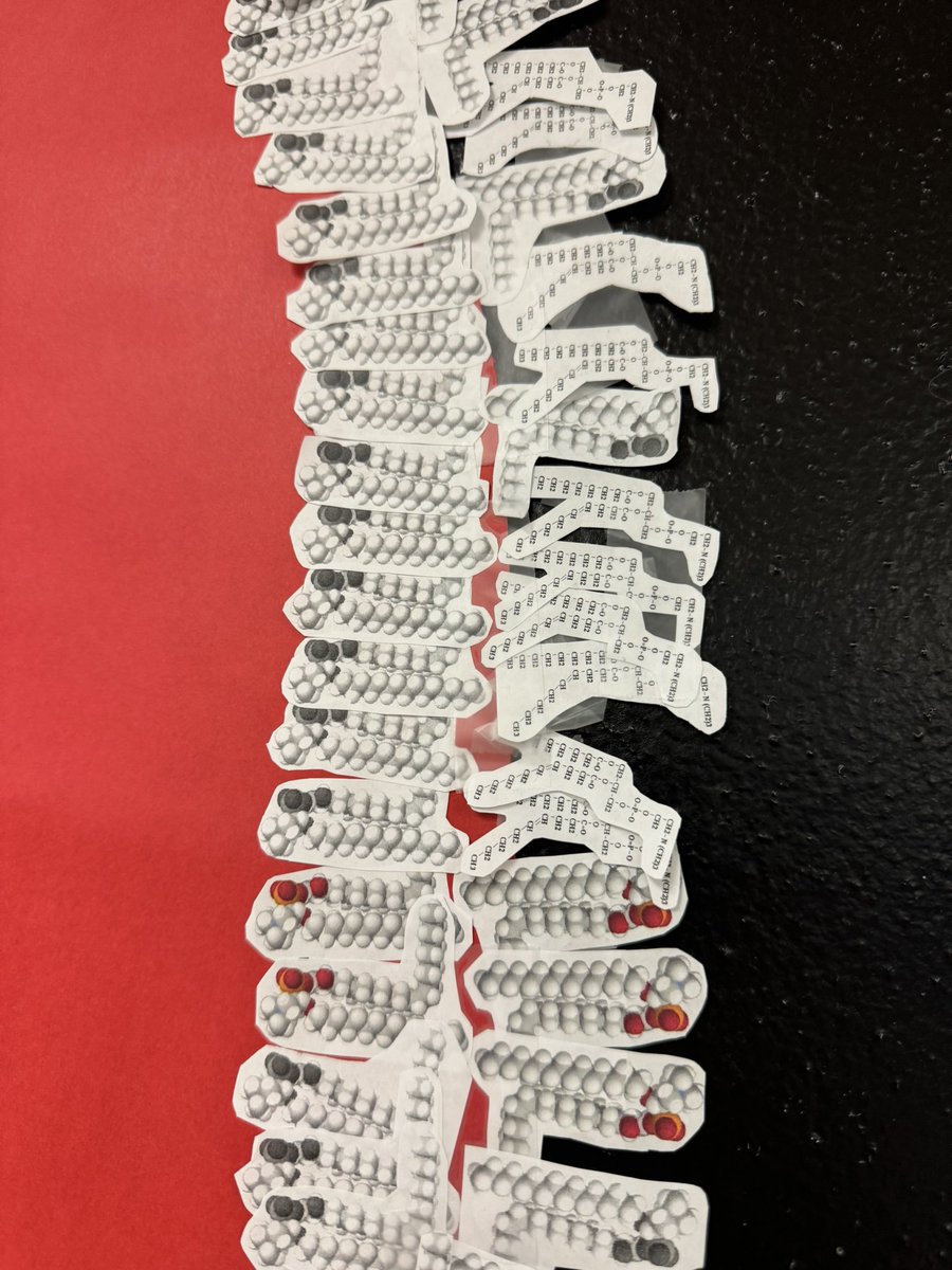 Spalding Biology tweet media