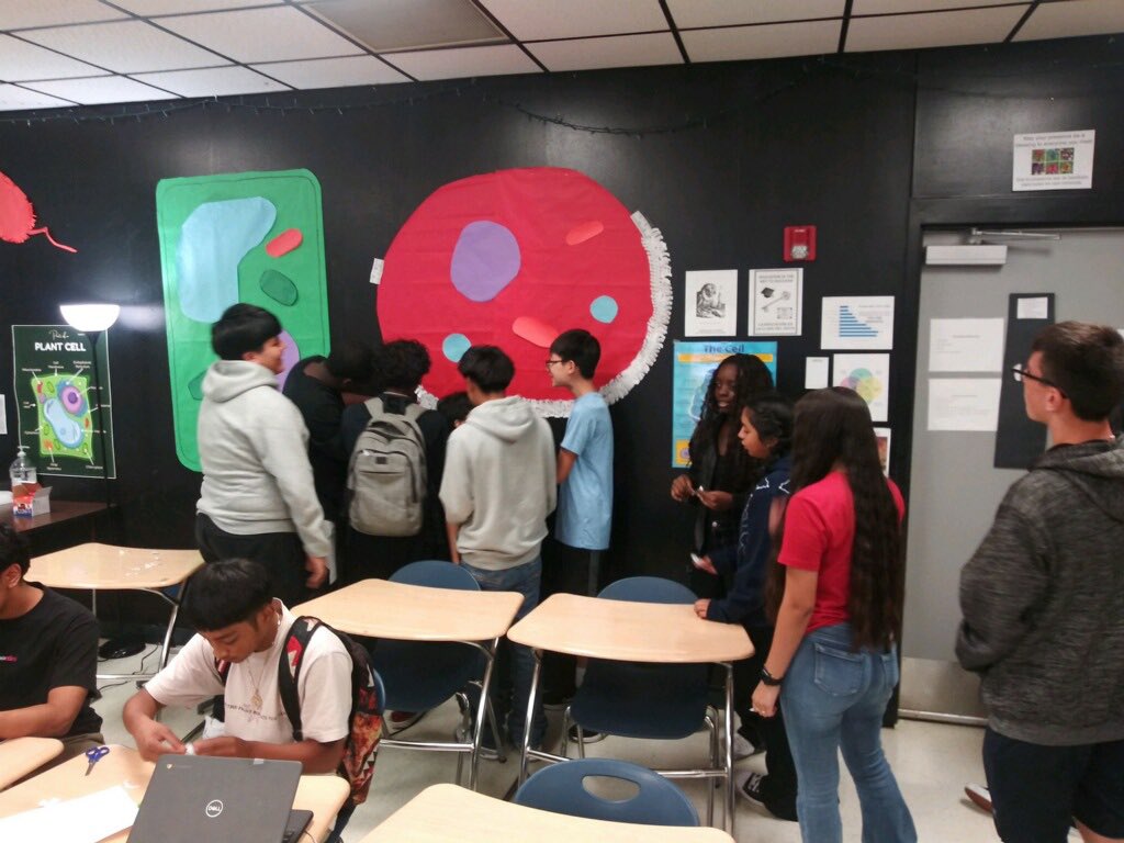 Spalding Biology tweet media