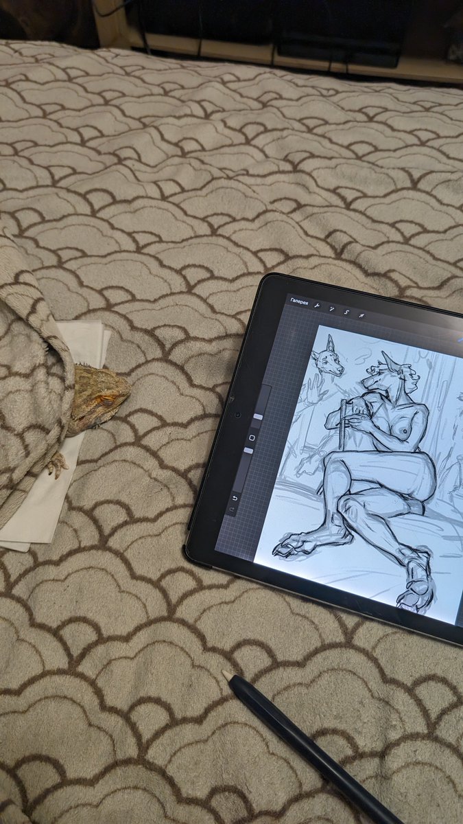 New ych is coming soon! 
Little old beardie helping me 😊
#fossaart
