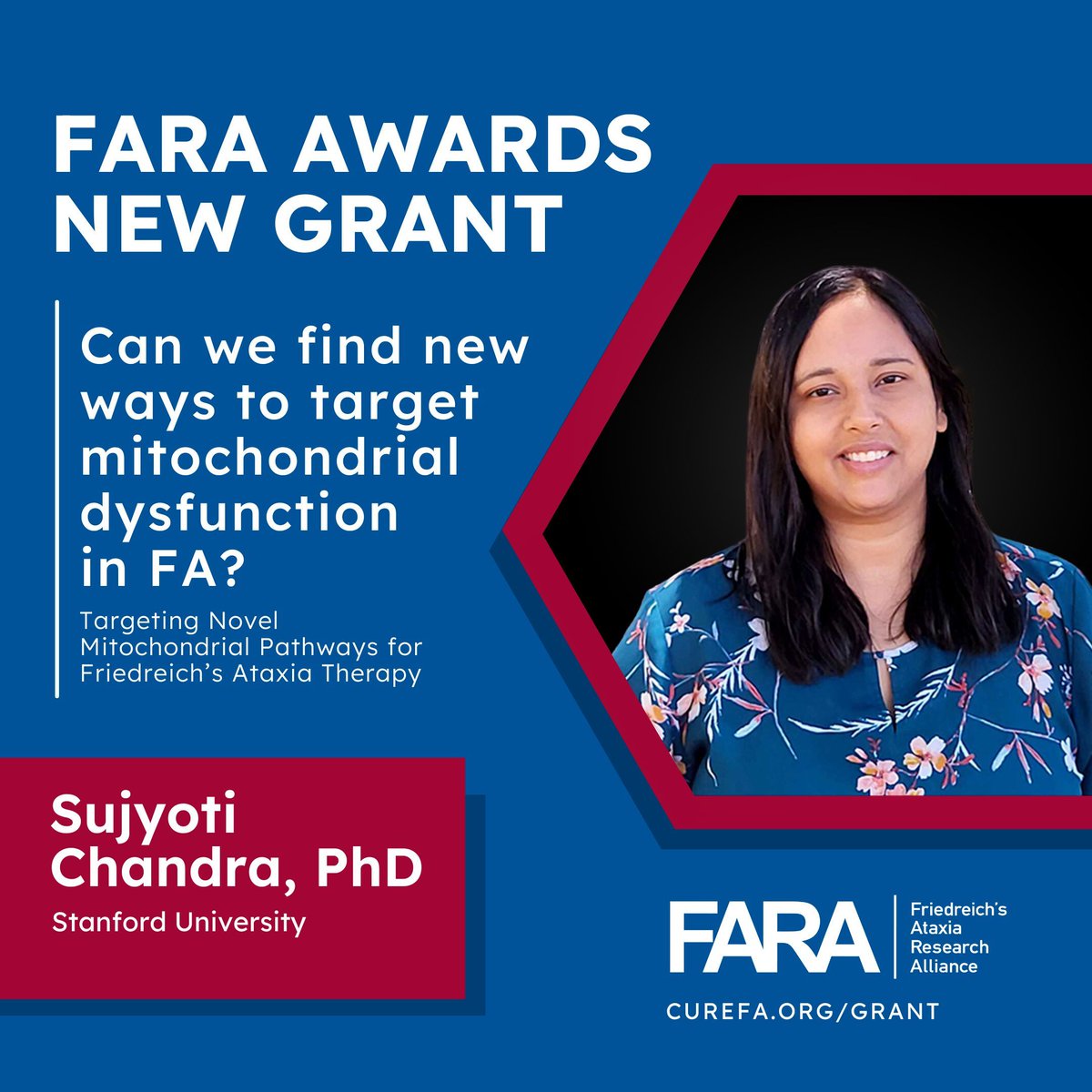 FA Research Alliance (@curefa_org) on Twitter photo The FARA Grant Program is proud to award a Postdoctoral Research Award to Sujyoti Chandra, PhD, at <a href="/Stanford/">Stanford University</a> University to study new pathways affecting the mitochondria in #FriedreichAtaxia.
Read more about this grant and the research FARA funds at: buff.ly/4dS1ndt The FARA Grant Program is proud to award a Postdoctoral Research Award to Sujyoti Chandra, PhD, at <a href="/Stanford/">Stanford University</a> University to study new pathways affecting the mitochondria in #FriedreichAtaxia.
Read more about this grant and the research FARA funds at: buff.ly/4dS1ndt