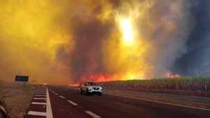 Emilymottaofc's tweet photo. O governo Lula está fazendo um ótimo trabalho... em deixar o Brasil em chamas! 🔥 Várias cidades, incluindo Ribeirão Preto - SP, estão literalmente pegando fogo, mas pelo visto, prevenir incêndios não estava no script.

EFEITO LULA! https://t.co/Qc8yaiKH6V