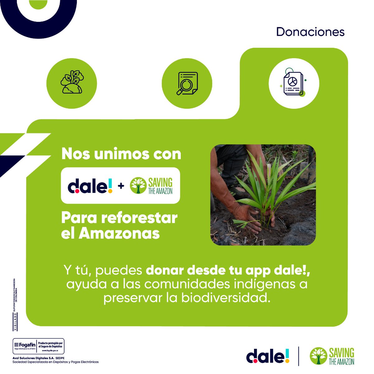 ¡Únete a nosotros por un futuro más verde y sostenible! 🌳🌳 Lo único que debes hacer es iniciar sesión en dale!, elegir la opción "paga", tocar el logo de "Saving The Amazon", diligenciar el valor a donar 📲 ¡y listo!