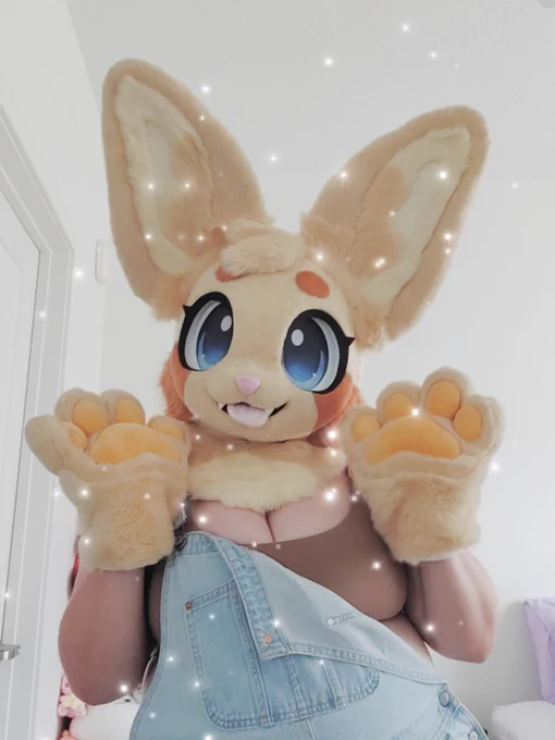 anyways sorry if you followed me for one specific thing. I make merch (plushies, apparel, pins, charms, whatever) I take comms occasionally. I make a lot of adopts. I post fursuit and kandi pictures. and sometimes I talk about my interests :3