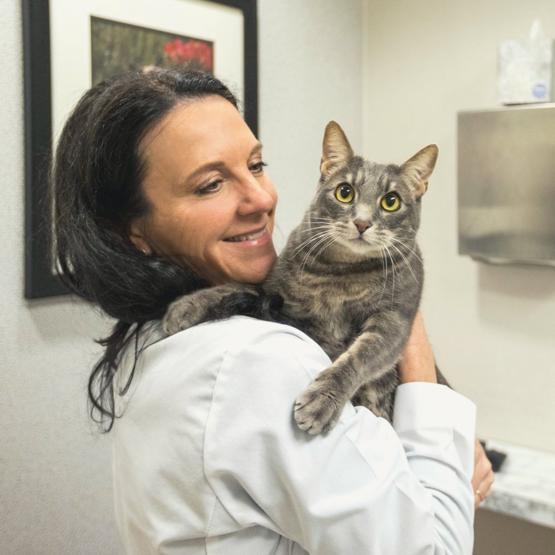 🎉✨ Happy Birthday to the woman who started it all – Dr. Drake! ✨ Your vision, determination, and dedication have built a legacy of care and love that impacts countless lives every single day. We’re beyond grateful for the heart and leadership you bring to the Drake Center.