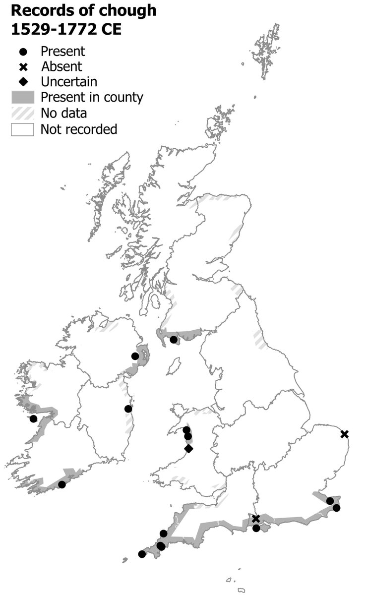 Just a few centuries ago choughs were recorded all along the south coast of England... Do you think we could get there again?! 😻🐦‍⬛🧡

(Map based on my research, from my #AtlasOfEarlyModernWildlife)
x.com/cornishchoughs…