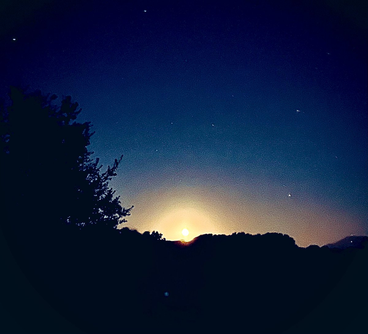 EveFlament's tweet photo. Admirer les étoiles filantes
Penser à ceux qu’on aime, qui comptent, qui ont besoin…
#songes #nuit #été #lunerousse https://t.co/DnsYmXHyIp