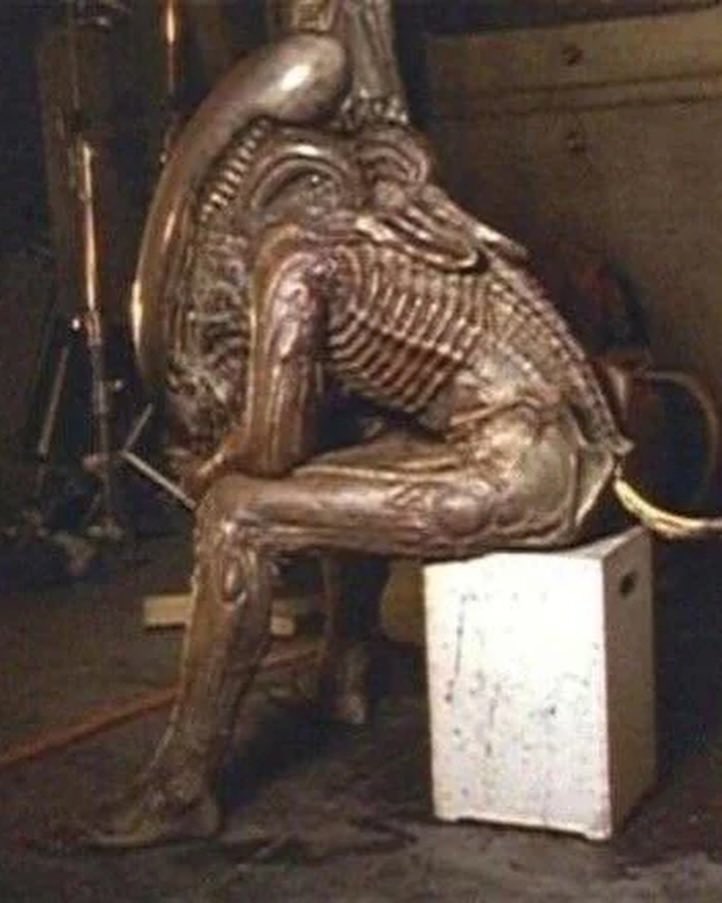 M̶∀z̶i̶ tweet media