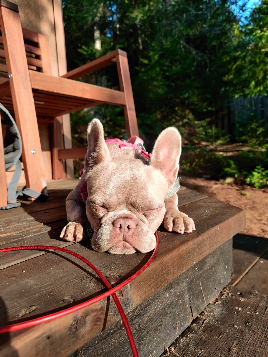 Maddy Eisenberg (she/her) tweet media