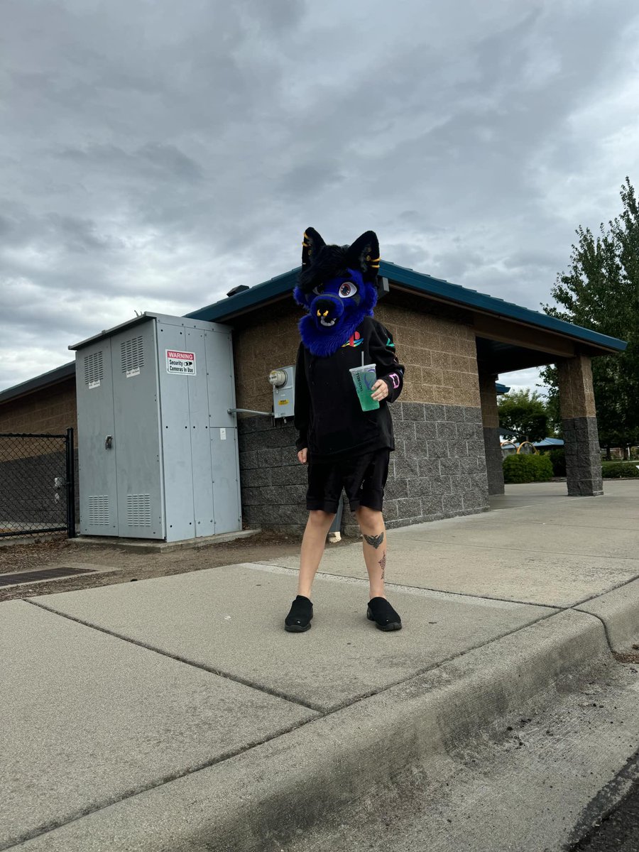 Cynderest's tweet photo. Baja Blasting my insides. #FursuitFriday #fursuit #Furry #furryartist https://t.co/6cGHYk01ju