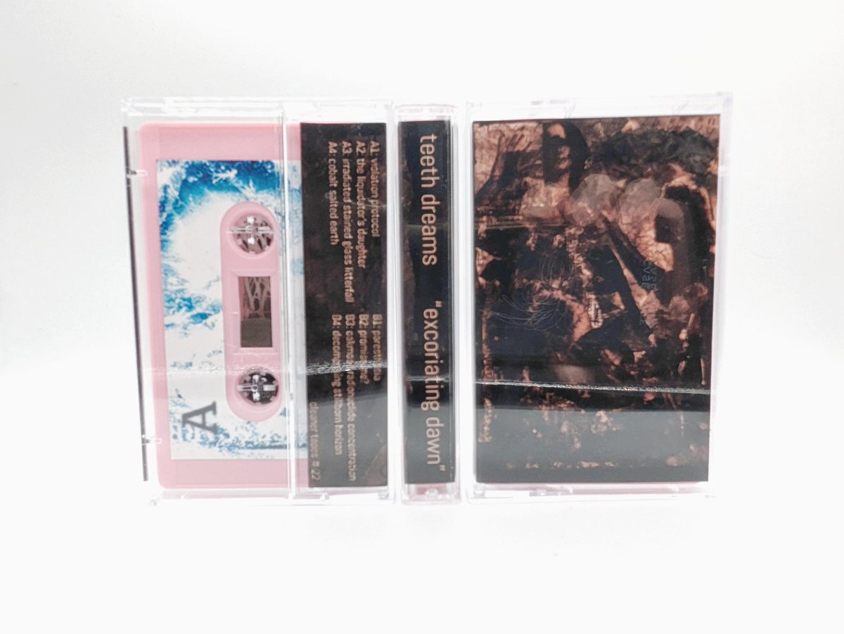 vi, dreamer of teeth tweet media