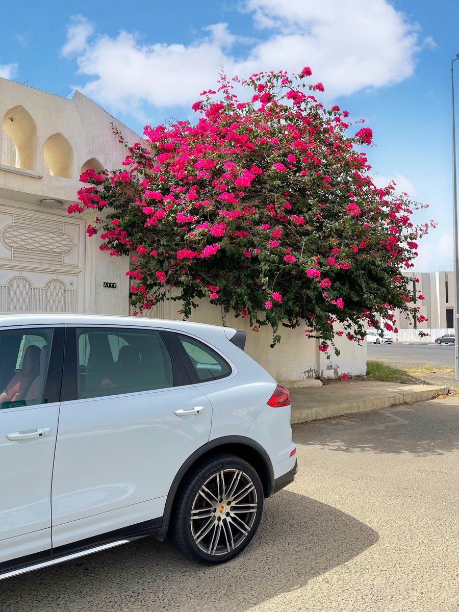 -_☘︎◡̈⃝🌻

_

_

 لا تطمح أن تڪون أفضل من الآخرين اطمح أن تڪون أفضل من نفسڪ سابقاً فالعقول تصغر عندما تنشغل بالآخرين وتڪبر عندما تنشغل بذاتها

#صباح_الخير 🌨