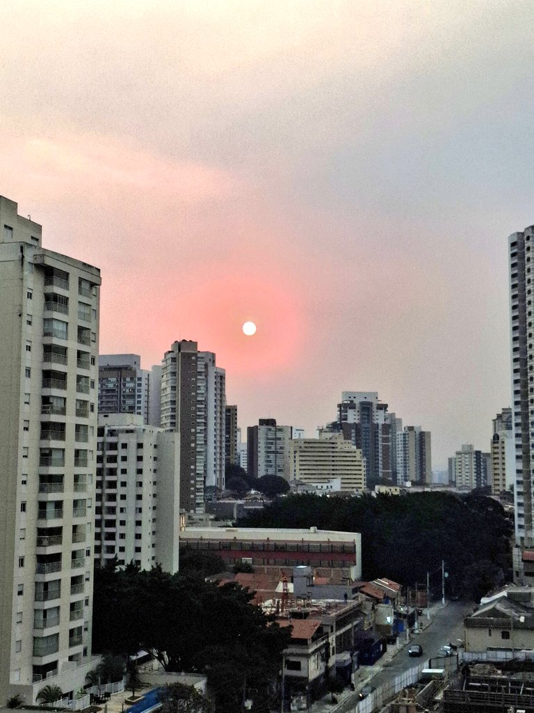 Bia THE ROMANTIC 🌹 tweet media