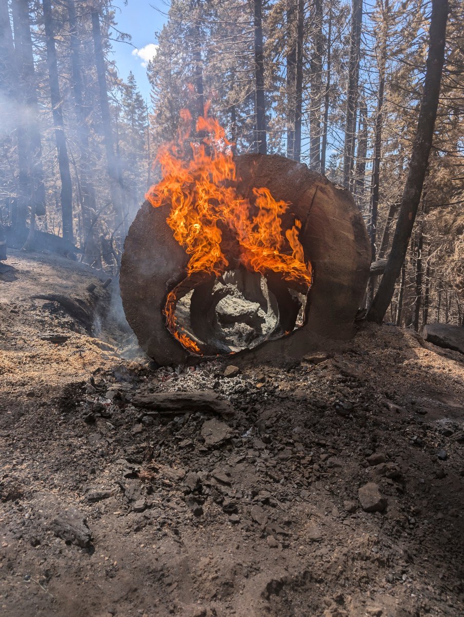 ActionNewsNow's tweet image. The #ParkFire in Northern California has burned 429,460 acres and is 67% contained. 

The latest on the fire: tinyurl.com/2b35n56d