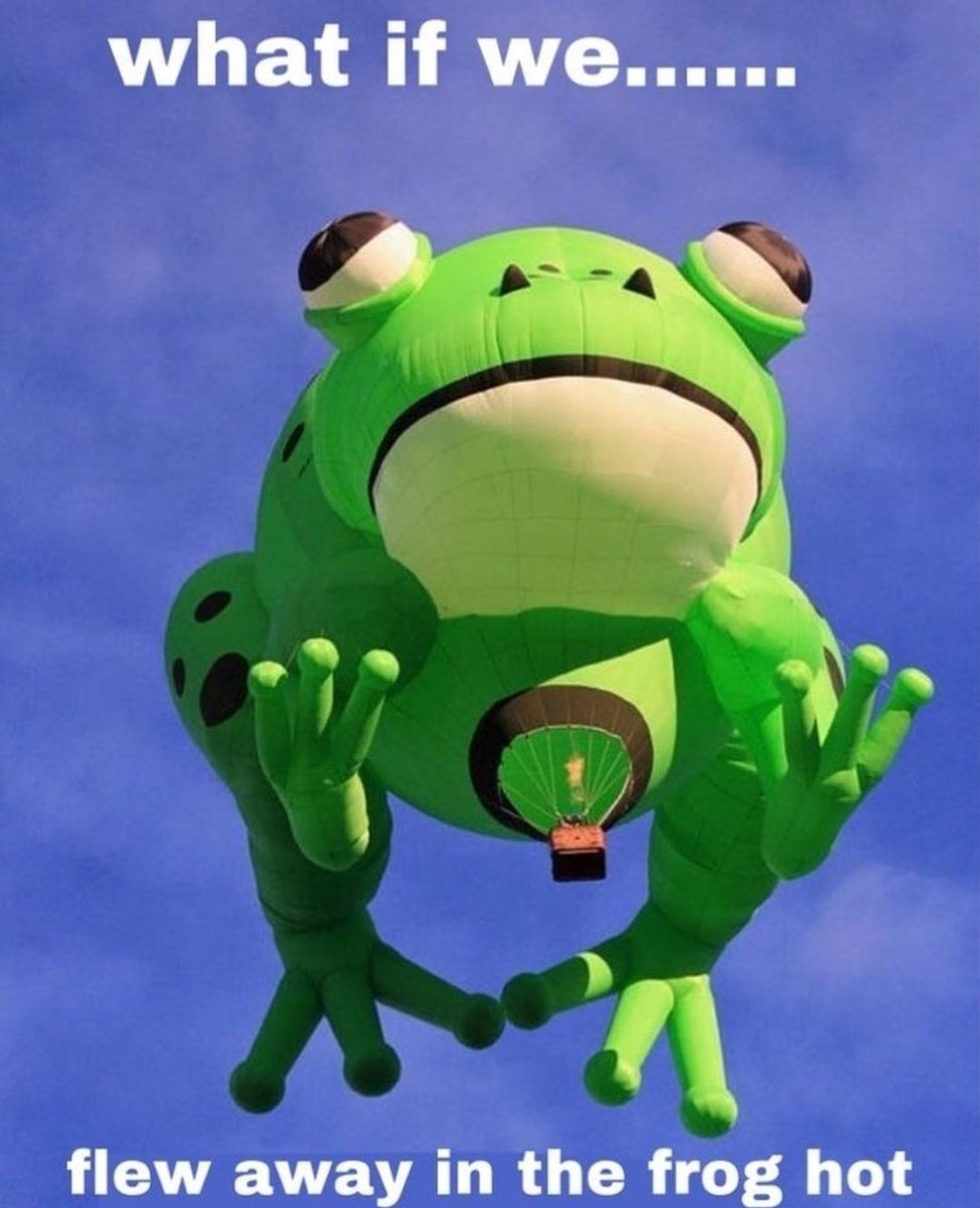 nocontextfrogs's tweet photo. https://t.co/P6USZNAY1F