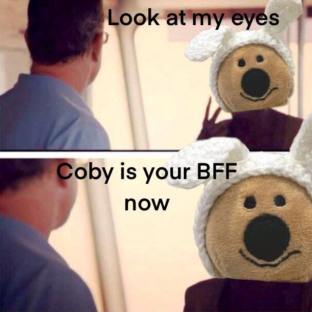 SquirrelCase🧸 tweet media