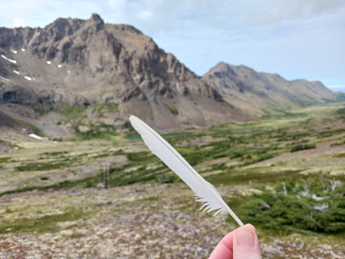 These here hills too.