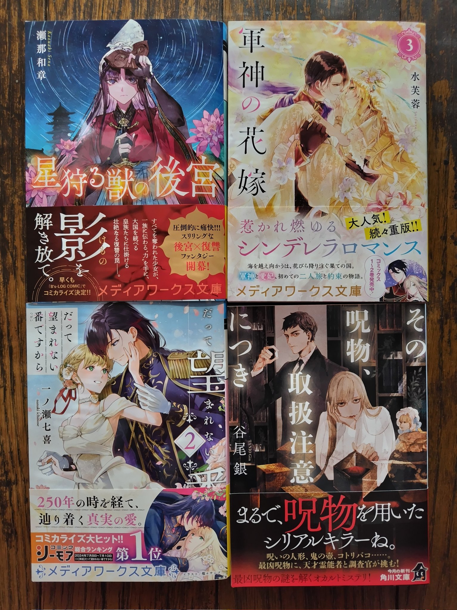 軍神の花嫁 3 軍神の花嫁3 (メディアワークス文庫) | 水芙蓉 |本 | 通販 | Amazon