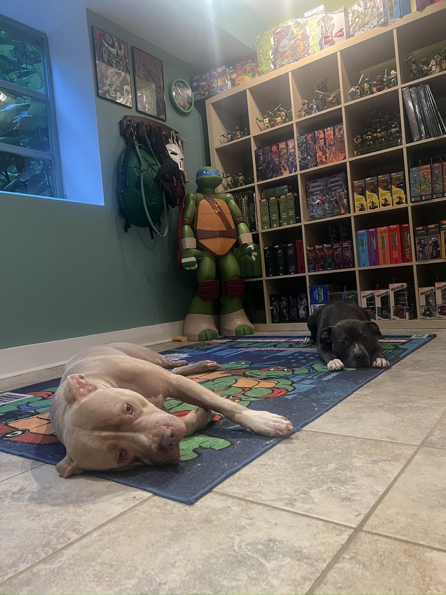 Straight edge Chino Moreno at hooters tweet media