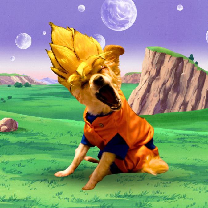 gokudogsolana's tweet photo. @MrHoggerSol @Dior100x AHHHHHHHHHHHHHHHHHHHHHHHHHHHHHHHHHHHHHHHHHHHHHHHHHHHHHHHHHHHHHHHHHHHHHHHHHHHHHHHHHHHHHHHHHHHHHHHHHHHHHHHHHHHHHHHHHHHH https://t.co/VxfdDuAq5j