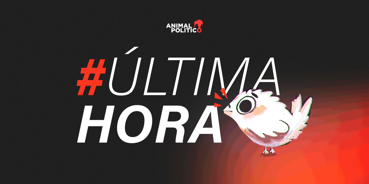 Pajaropolitico's tweet photo. 🔴 #ÚltimaHora | Los diputados de Morena y sus aliados aprobaron en lo particular el dictamen con el que desaparecen siete organismos autónomos, luego de rechazar todas las propuestas de modificación presentadas por la oposición.