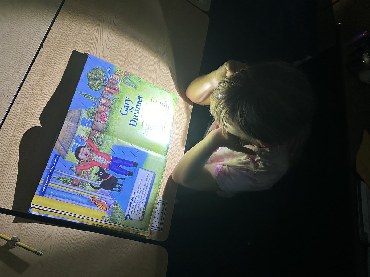 Fridays are for flashlights 🔦📖#flashlightfriday #lakeviewvikes