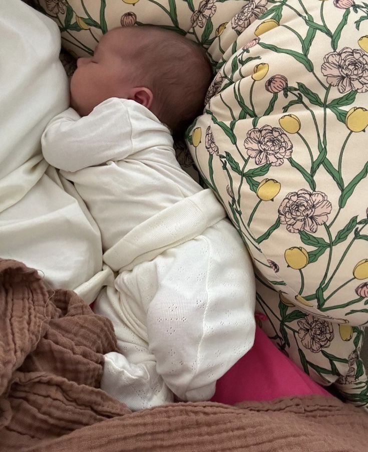 Butterflless's tweet image. 