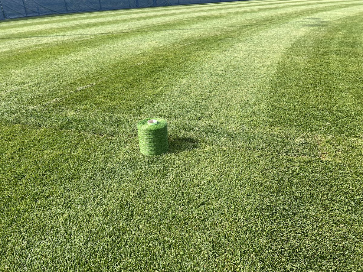 Kchambers_5's tweet photo. Answer: after sodding our wear area, we hand stitched in synthetic fibers to help protect the crown of the plant. After putting approximately 5 miles of fibers in the ground by hand, 🤞🏻🤞🏻🤞🏻it works! 😂 https://t.co/MjB19DzEyW