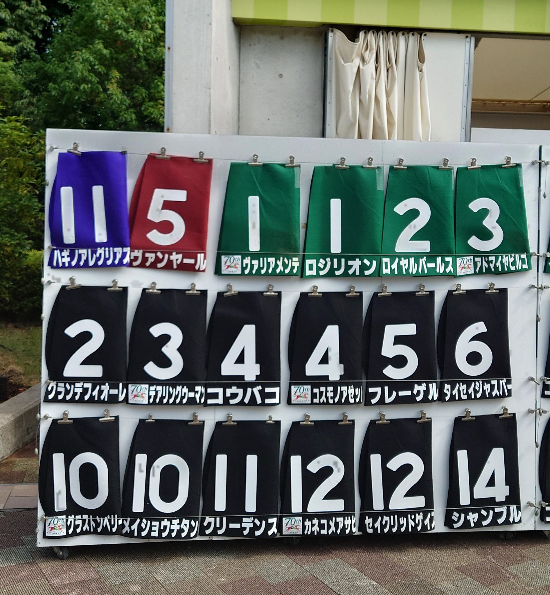 JRA 中央競馬 実使用 GⅠ競走特殊調教ゼッケン 【公式通販】